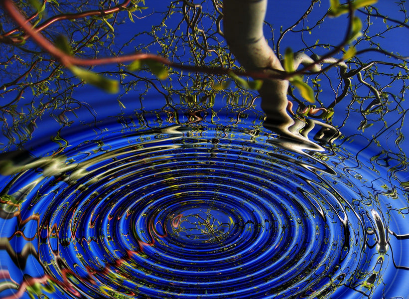7 Ways to Focus Your Meditation