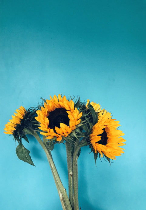 Solar Plexus: Willpower & Identity