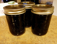 Elderberry Syrup-CLEVELAND ONLY-PLEASE READ